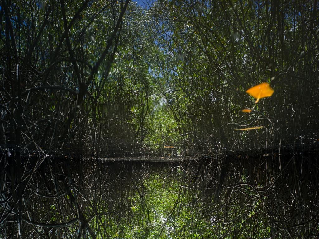 Estalagem La Bonita Baía Formosa